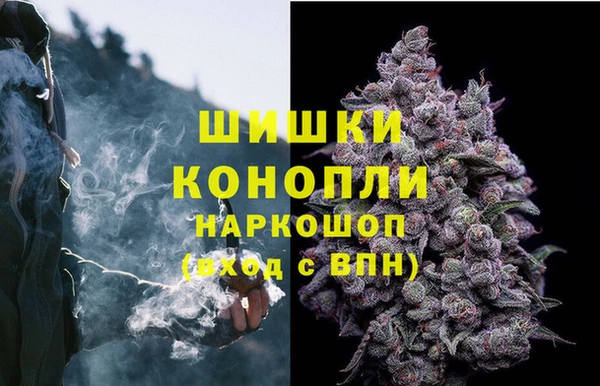 винт Арсеньев