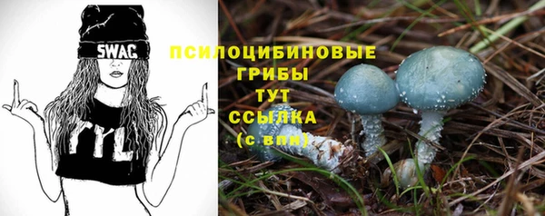 винт Арсеньев