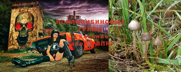винт Арсеньев